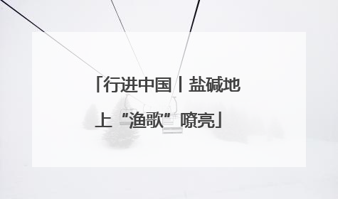 行进中国丨盐碱地上“渔歌”嘹亮